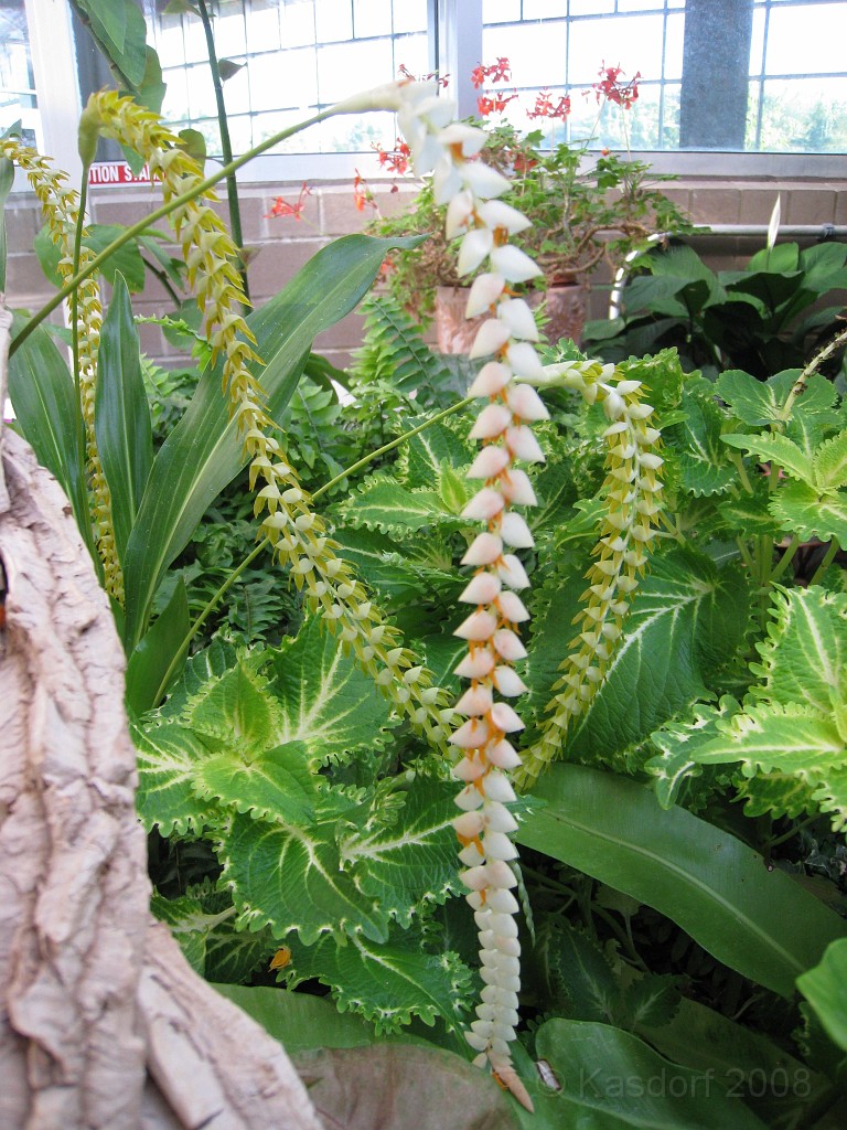 Michigans West Coast 2009 0540.jpg - Labor Day 2009. A trip along Michigans west coast to see beachs, art and buffets.